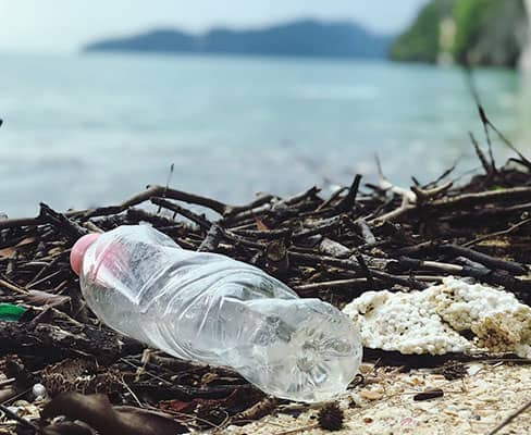 bottle of water